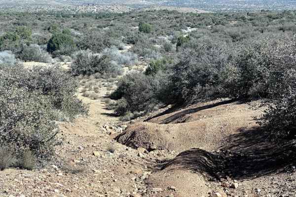 H1315