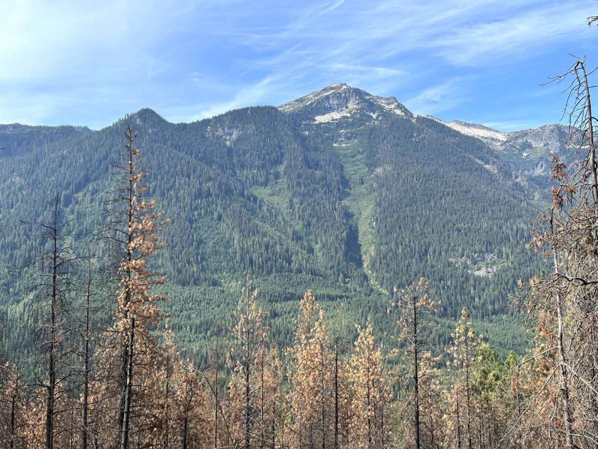 Wenatchee Ridge Overlook Trail photo 5