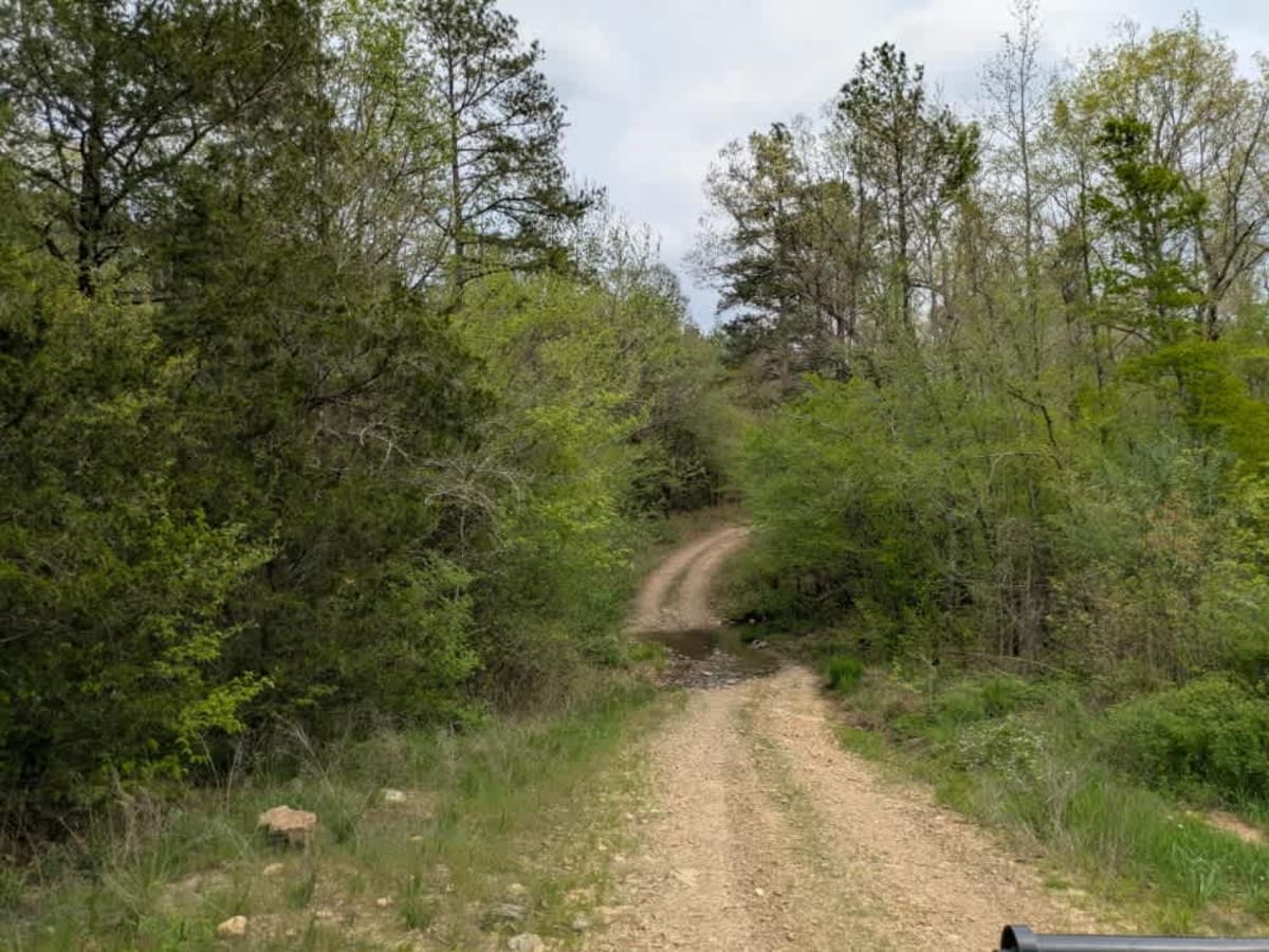 51705 photo 2