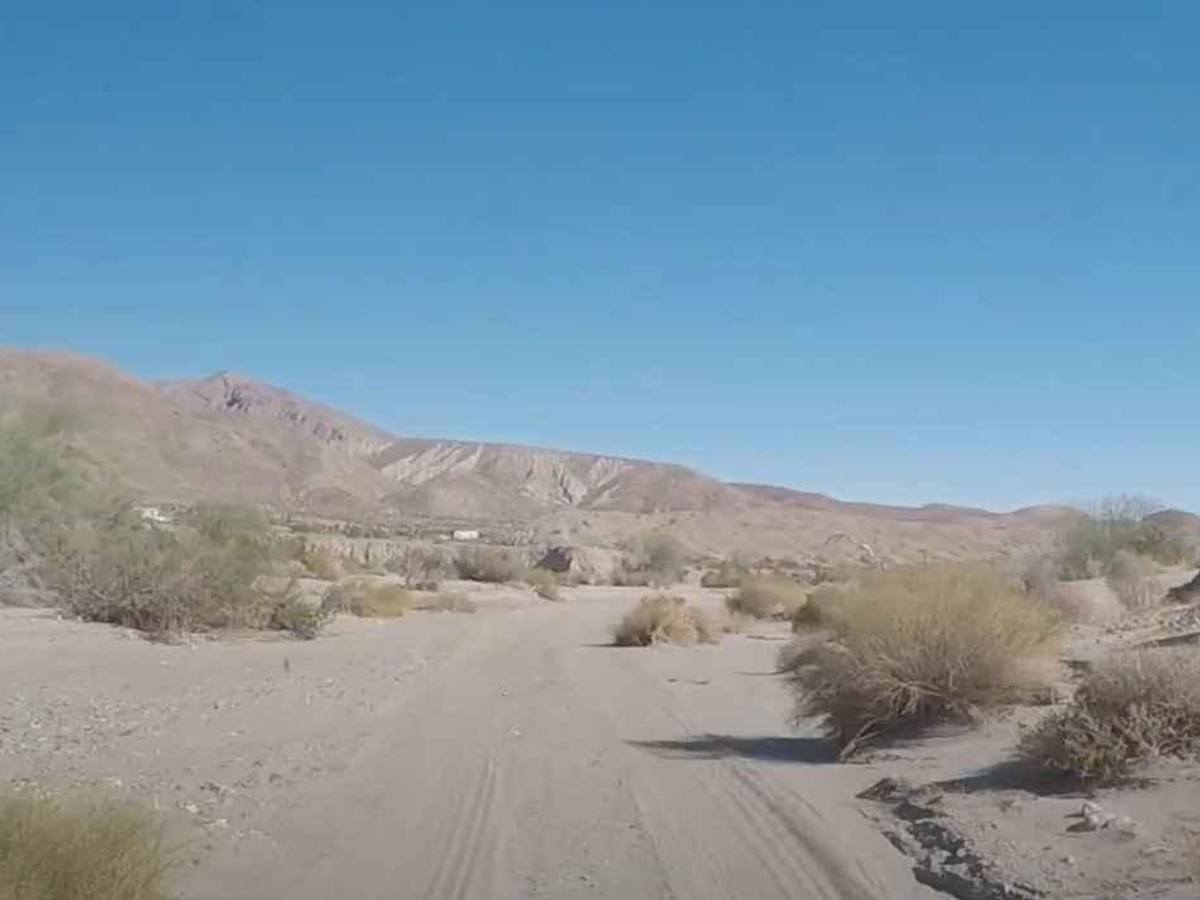 Palo Verde Wash photo 6