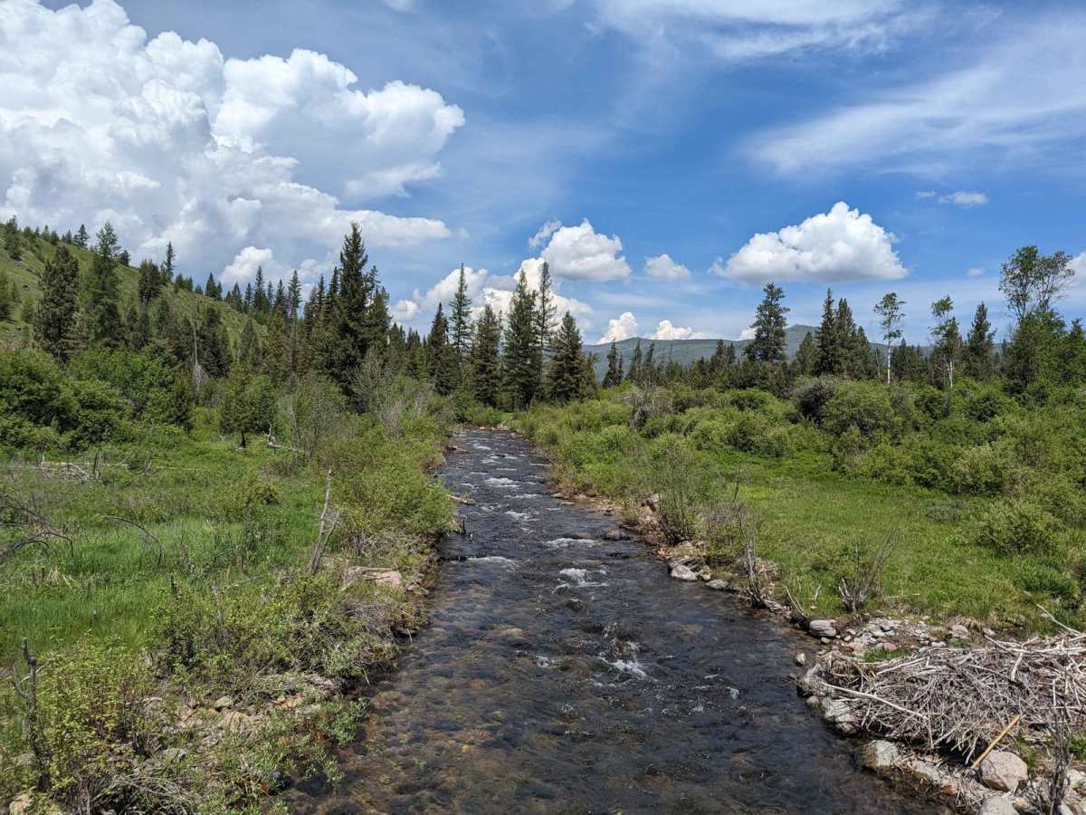 Gold Creek Trail 126 (Seasonal Access) photo 2