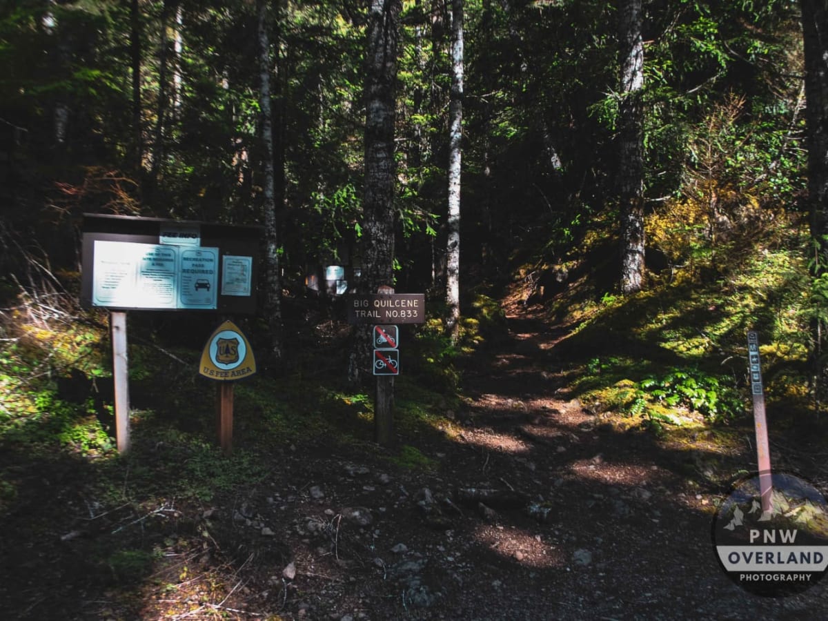 Upper Big Quilcene Trail photo 6