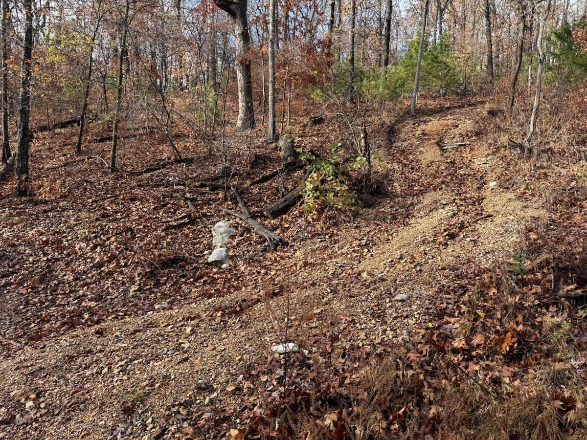 Red 105 trail photo