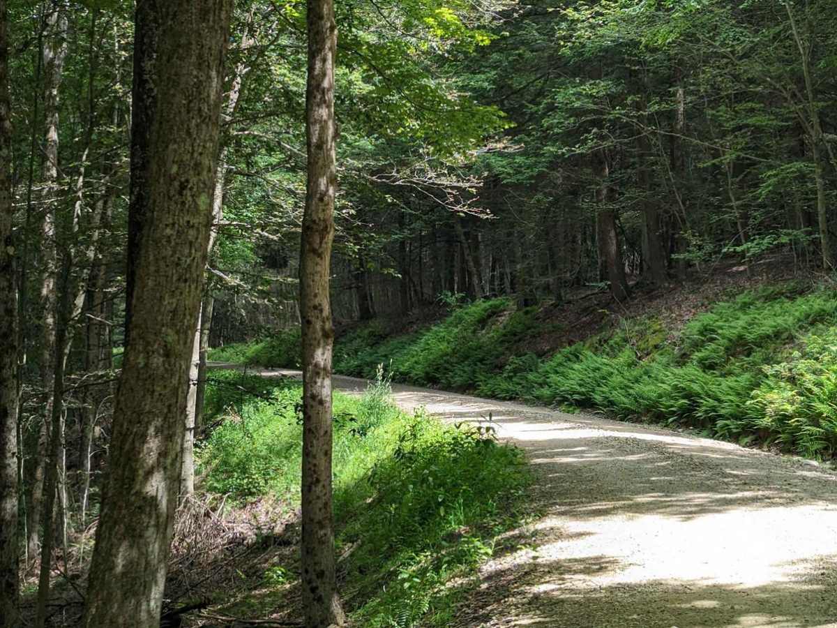Cold Run Road photo 4