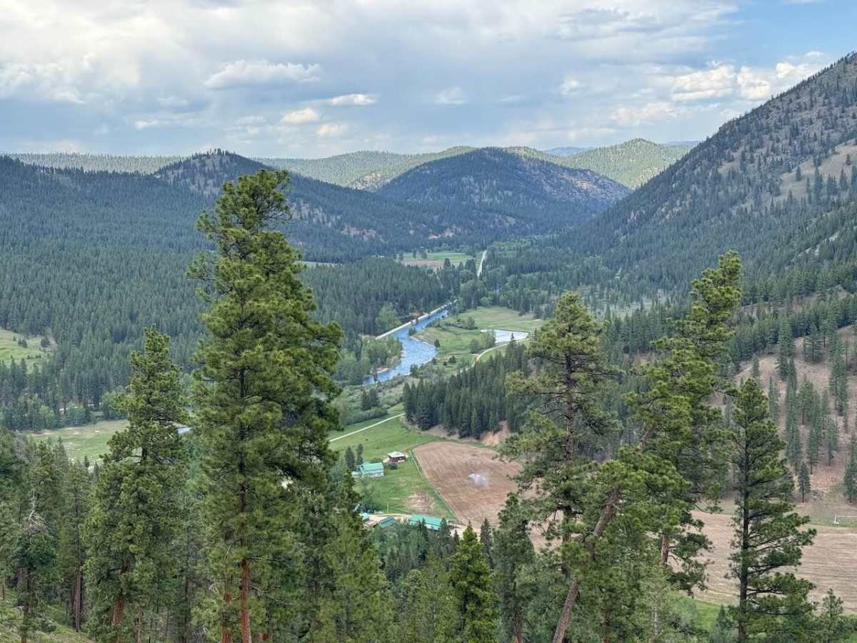 Piquett Ridge trail photo