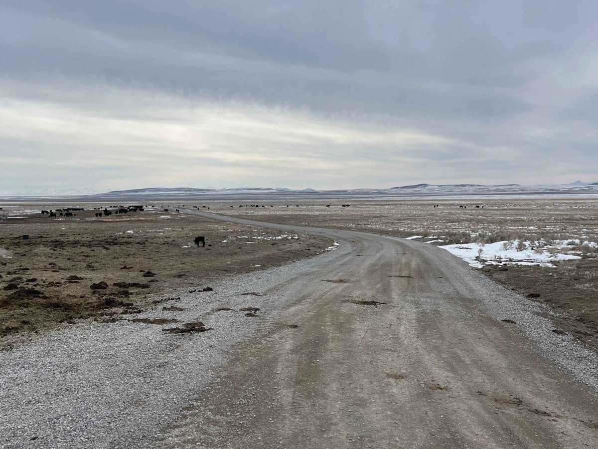 Spiral Jetty Lookout photo 4