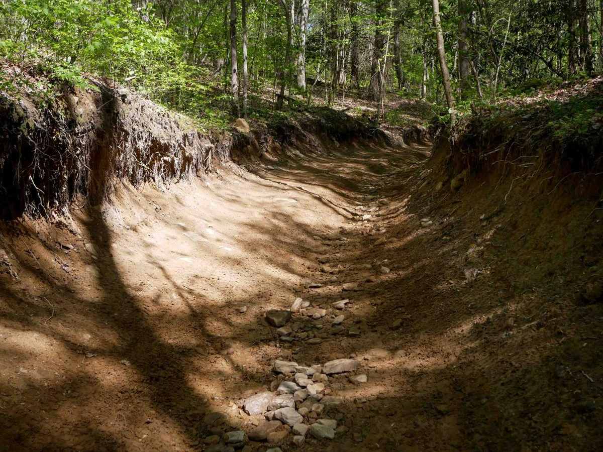 PC 10 trail photo