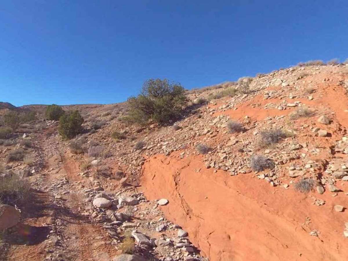 BLM13870 photo 4