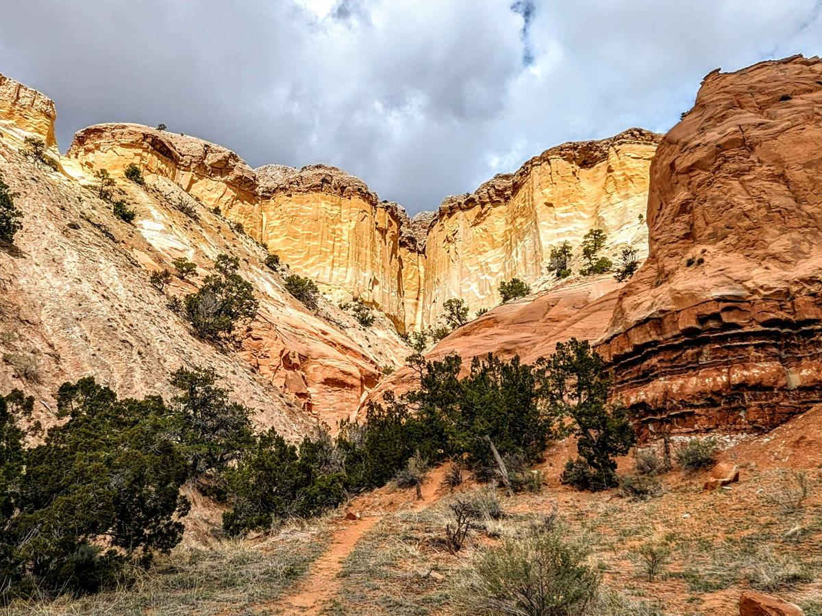 Chama Canyon Cliffside Loop trail photo
