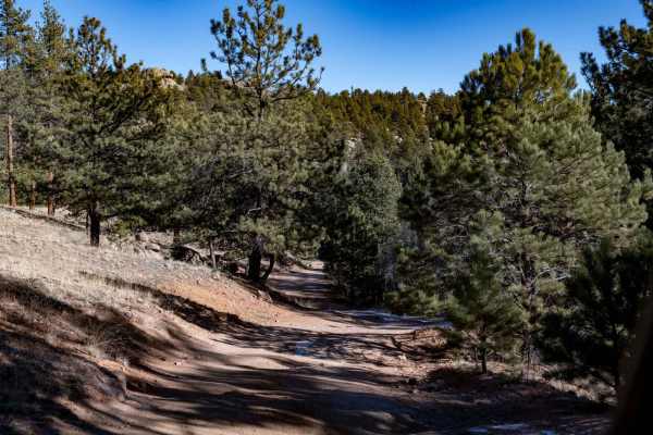 Eleven Mile Canyon Cutoff