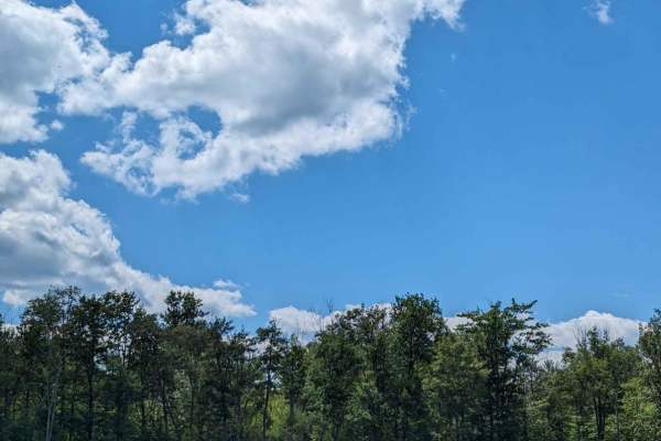 Loyalsock Road