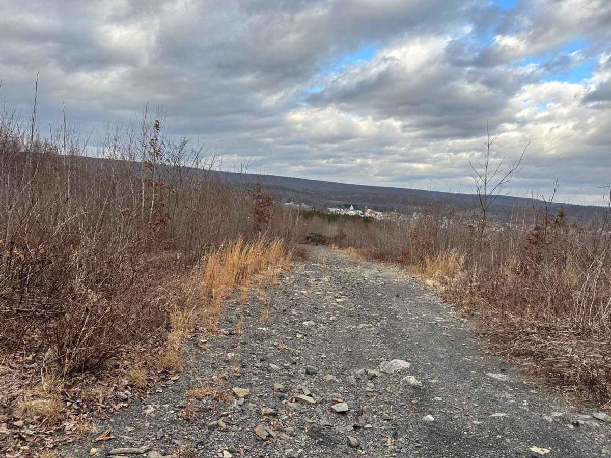 Ashland 142 trail photo