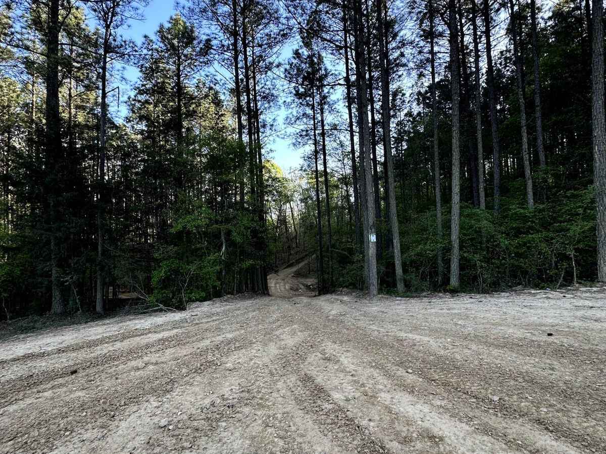 Trail 22 photo 6
