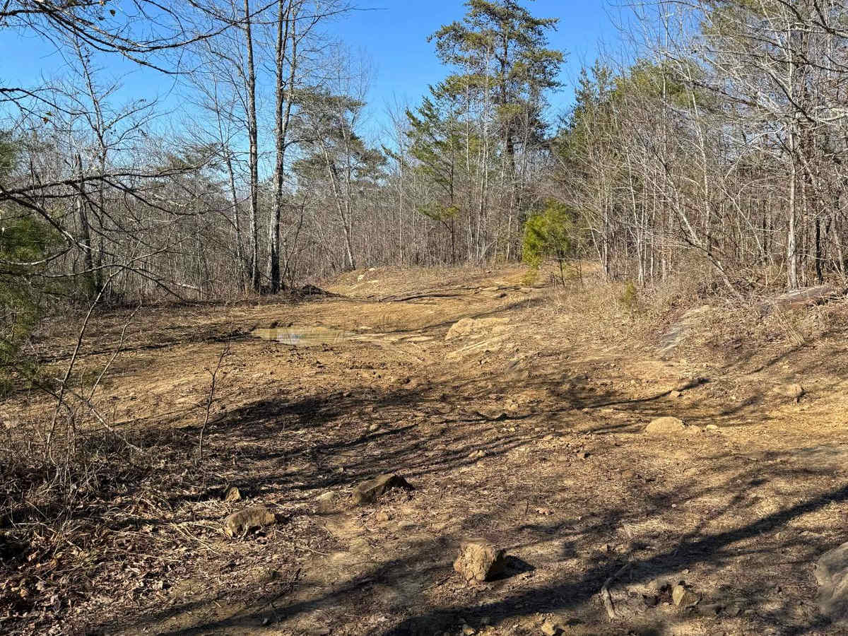 #93 Upper Access photo 5