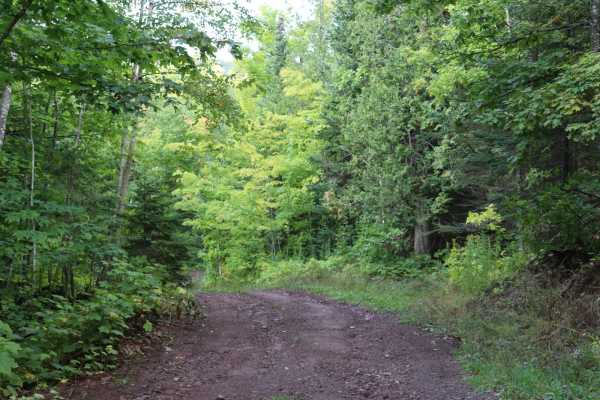 Union Creek