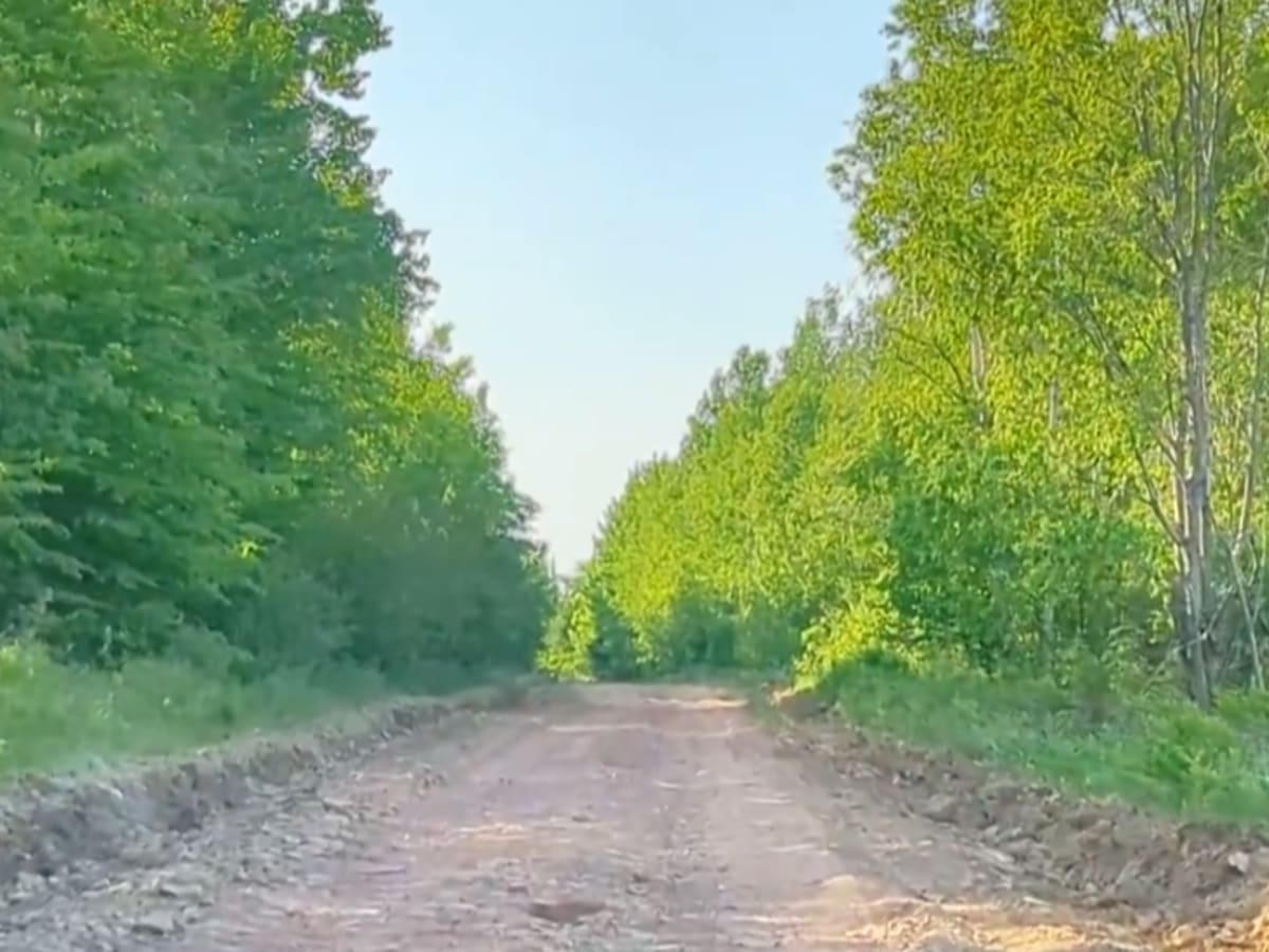 Claudie Road photo 5