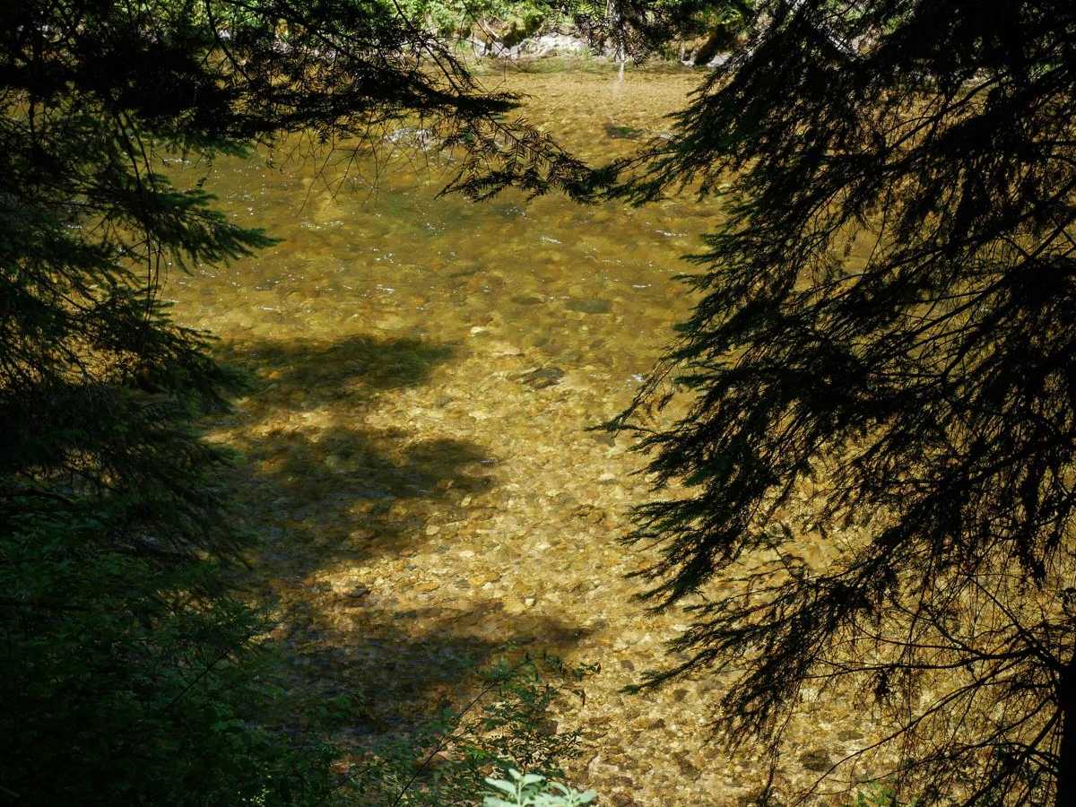 Weitas Creek photo 6
