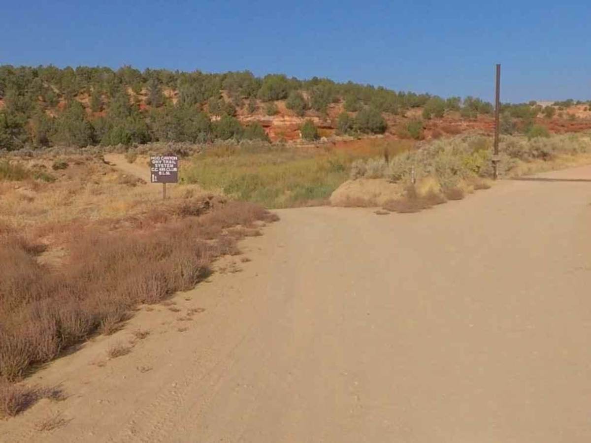 BLM100 photo 3