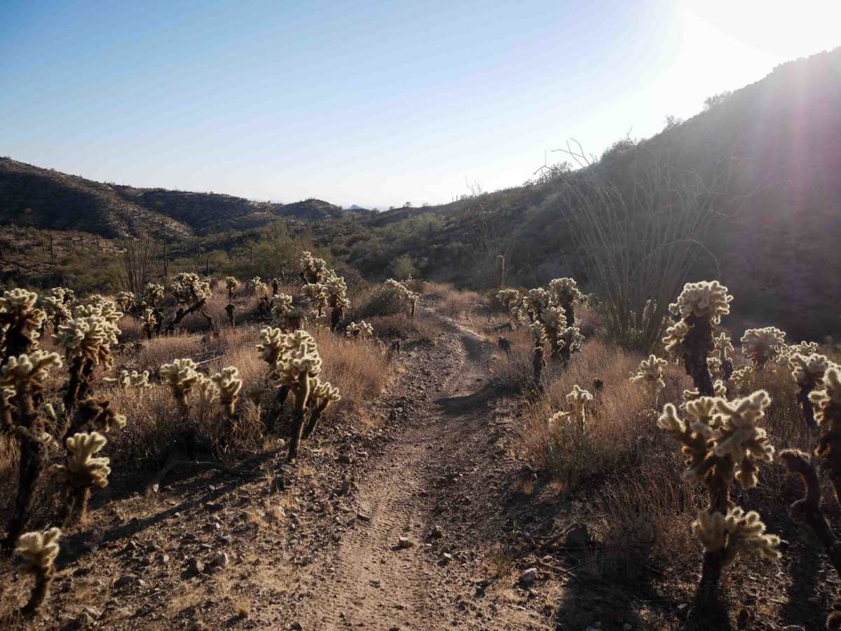 32021 trail photo