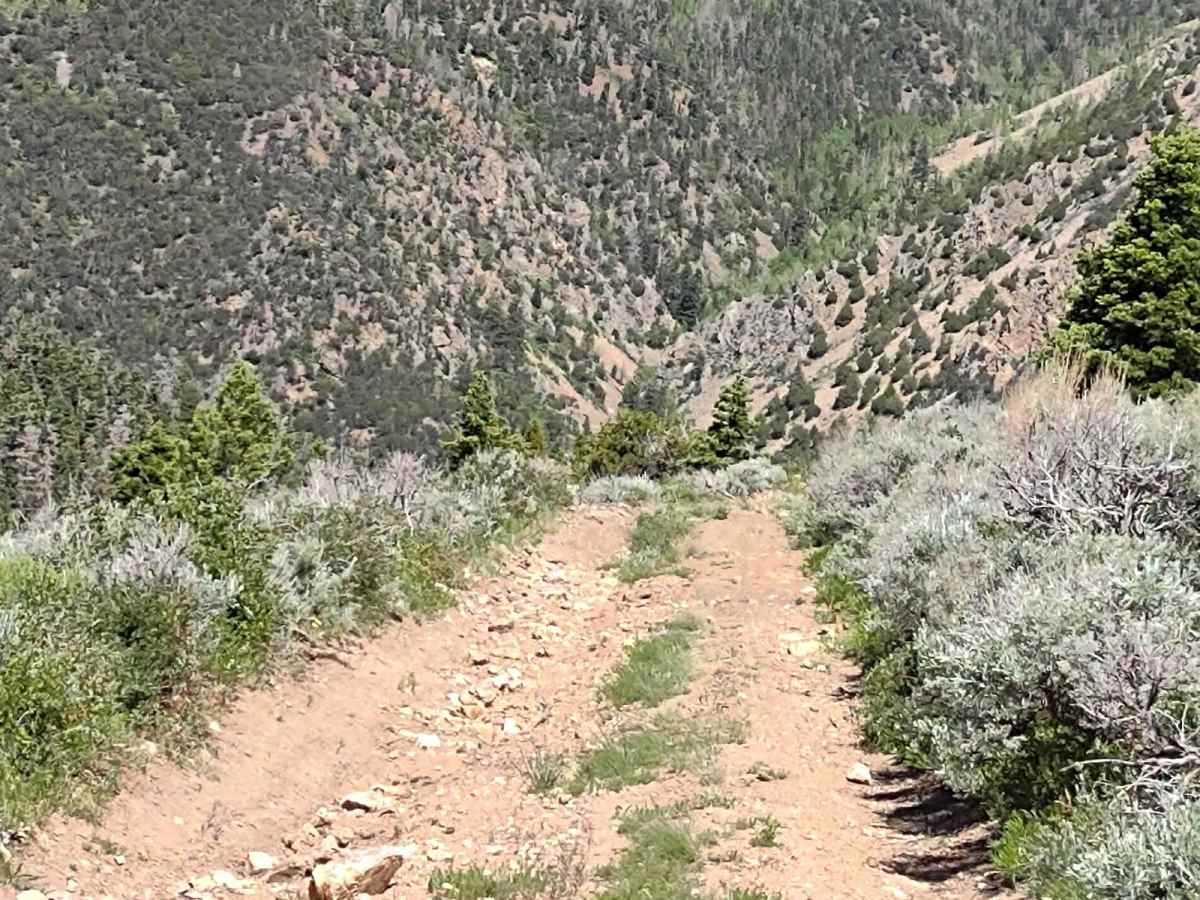 Sheepherder's Park (FS# 41080) photo 3
