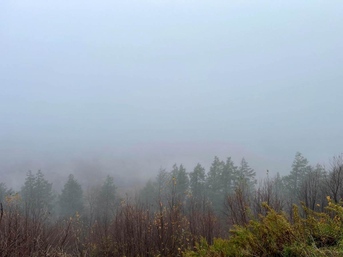 Firetower Road photo 4