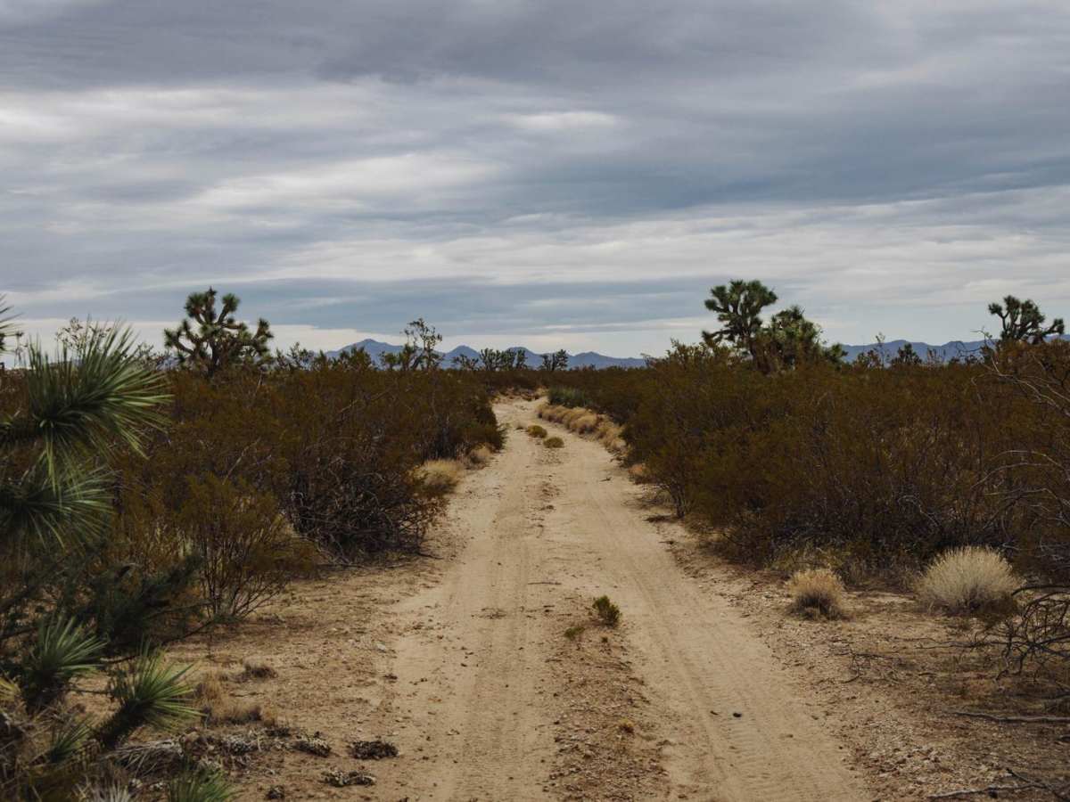 Date Creek's Entry photo 6