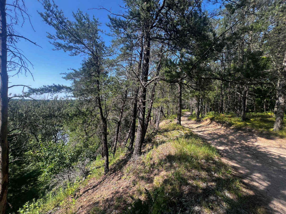 Spider Leg Trail trail photo