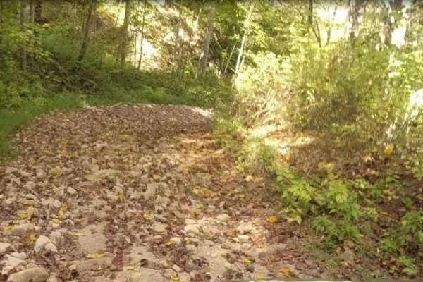Martiki Trail