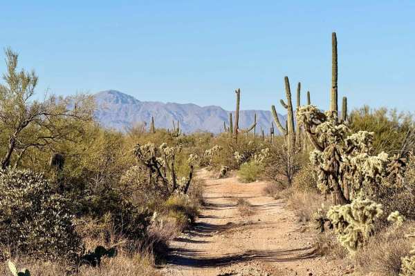 Crescent Trail