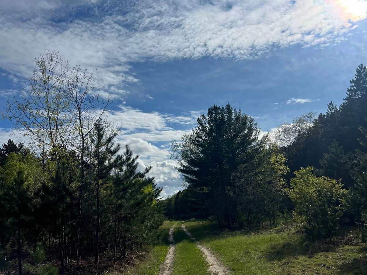 WP Connector Trail photo 2