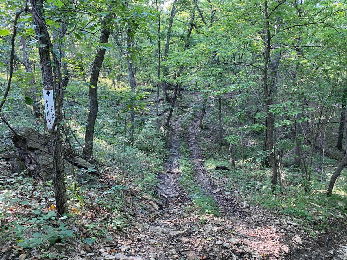 Flip Me Over trail photo
