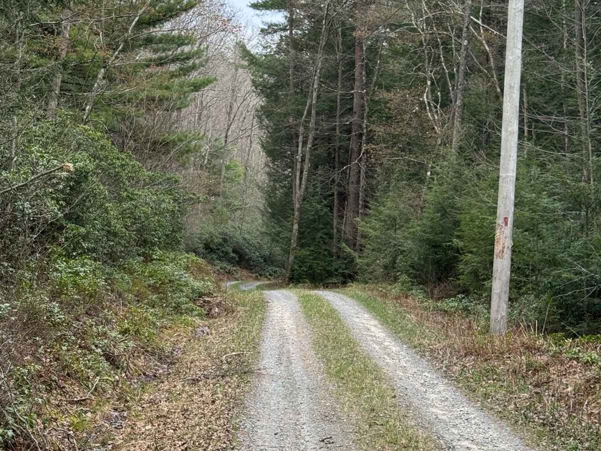 Little Boyer Road photo 6