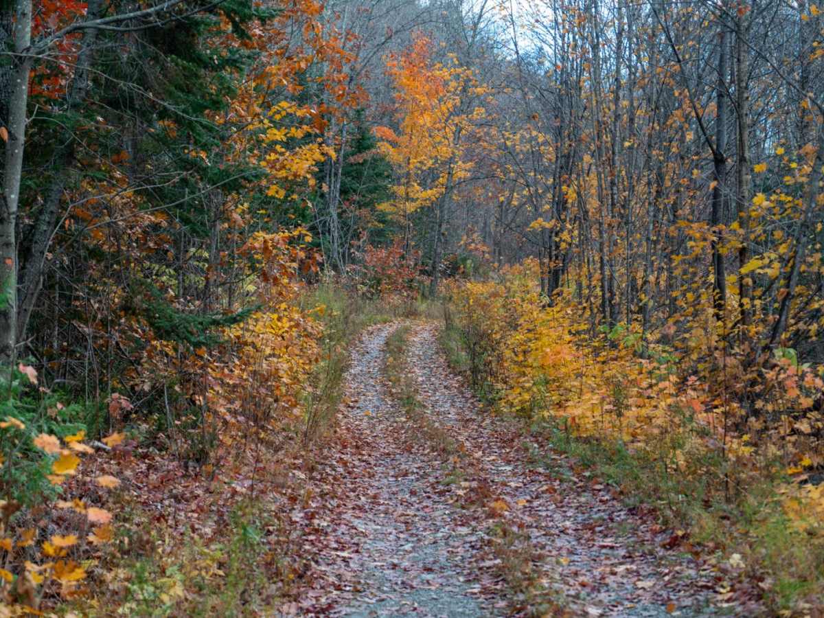 Batchawana Falls Road - Northern Section photo 3