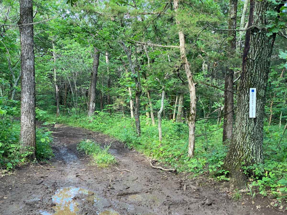 Amanda's Curves trail photo