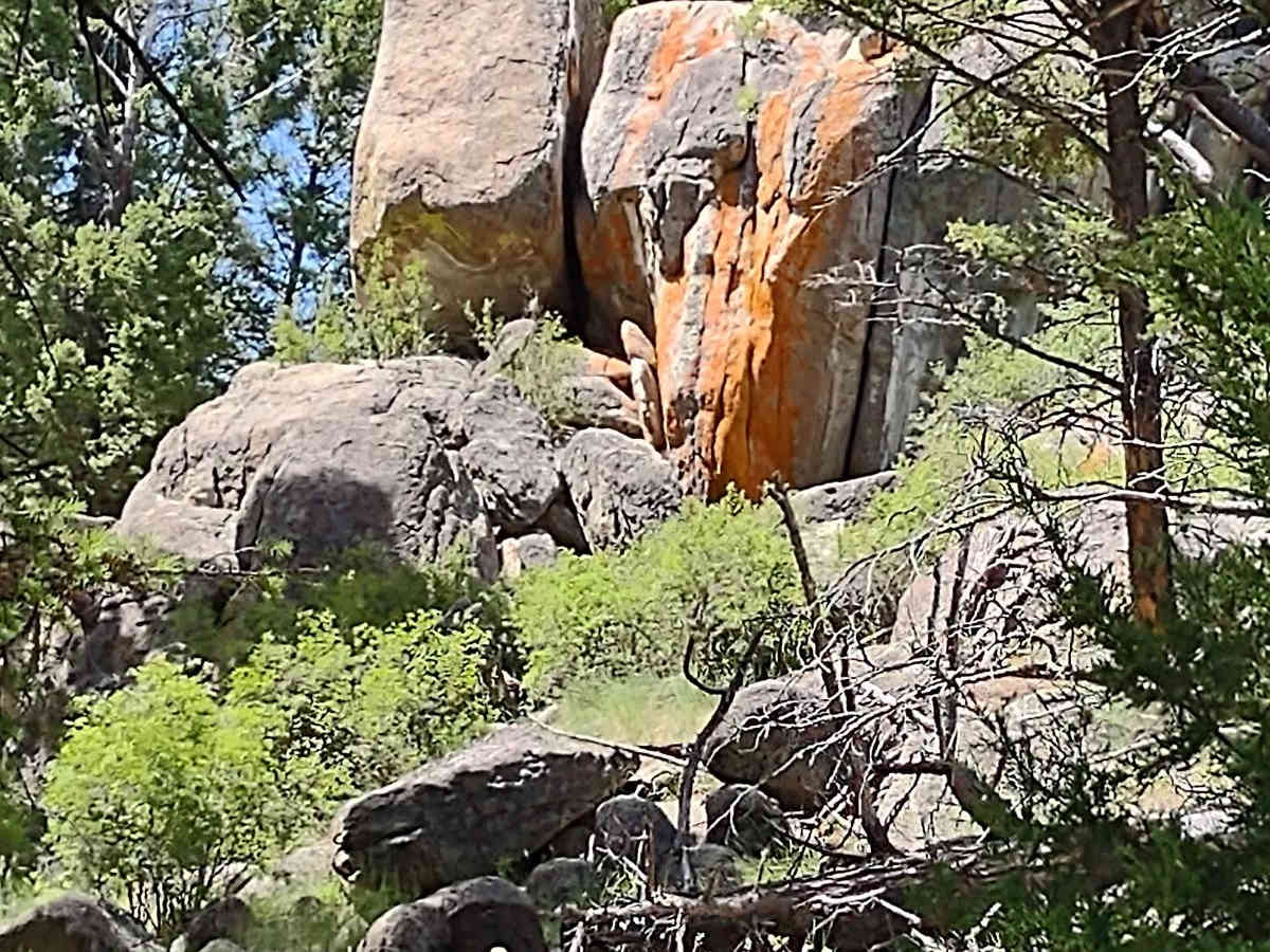 North Whitetail Road Spur photo 5