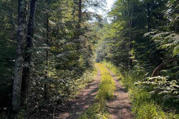 Porcupine Creek