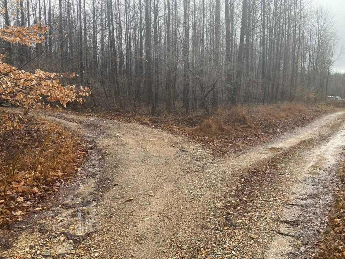 West Silica Hill Road photo 2