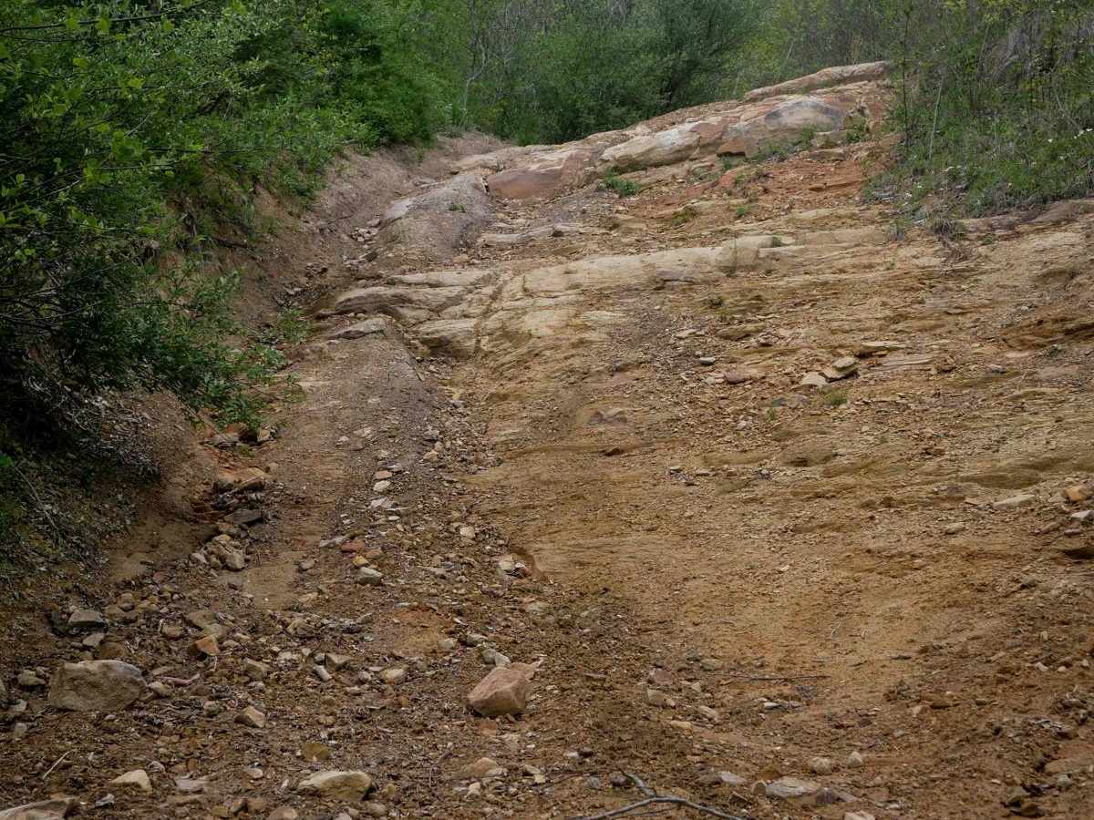 W97 trail photo