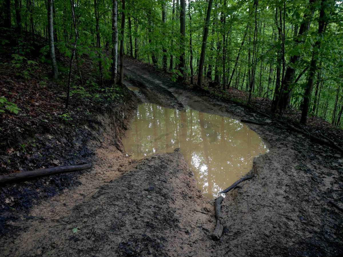 IB 69 trail photo