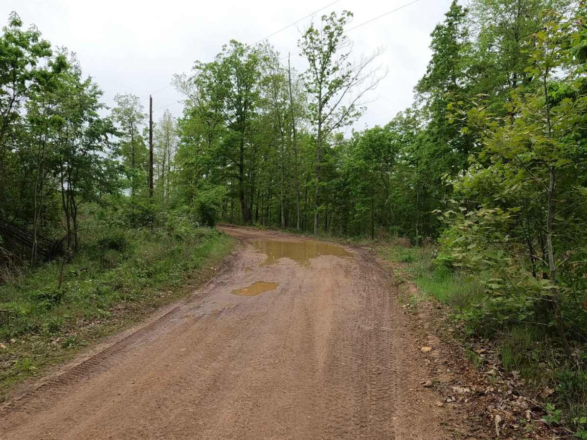 Spool Ridge Trail photo 3