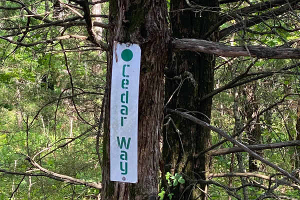 Cedar Way