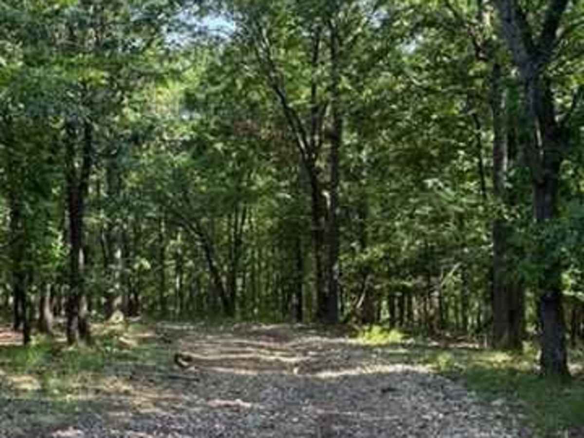 Ana's Trail photo 3