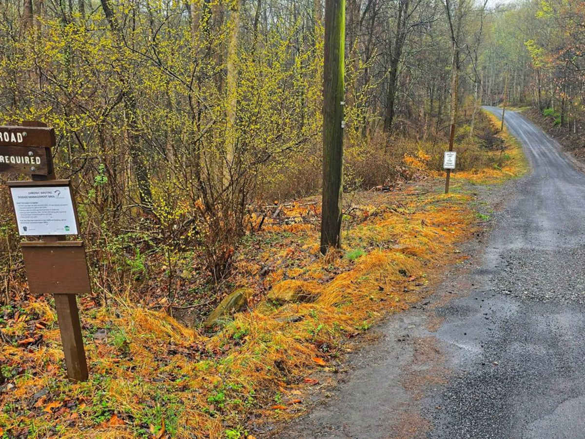 Laurel Run Road trail photo