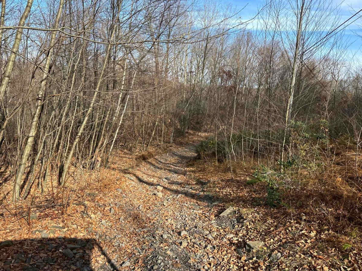 Ashland 168 photo 6