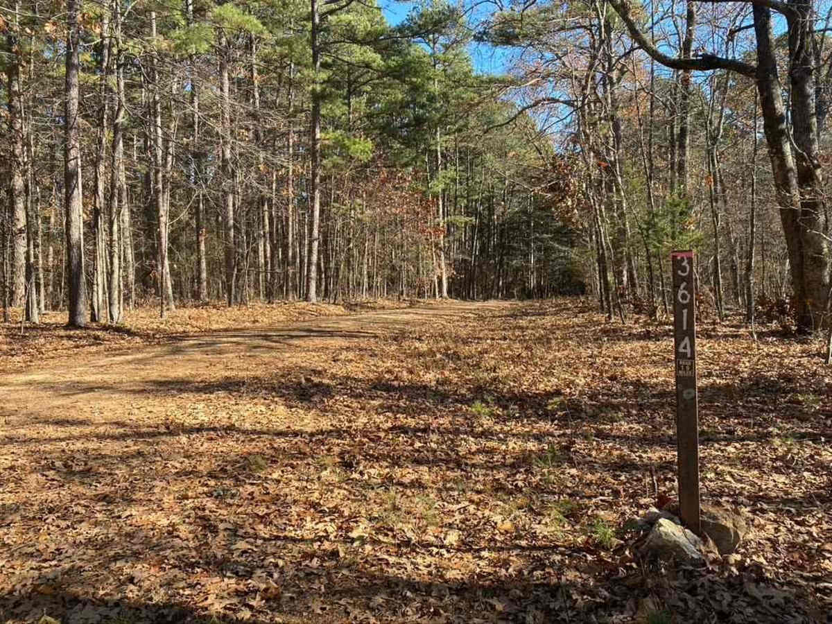 Holmes School FSR 3614 trail photo