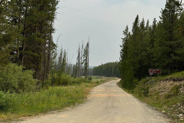 Gibbons Pass
