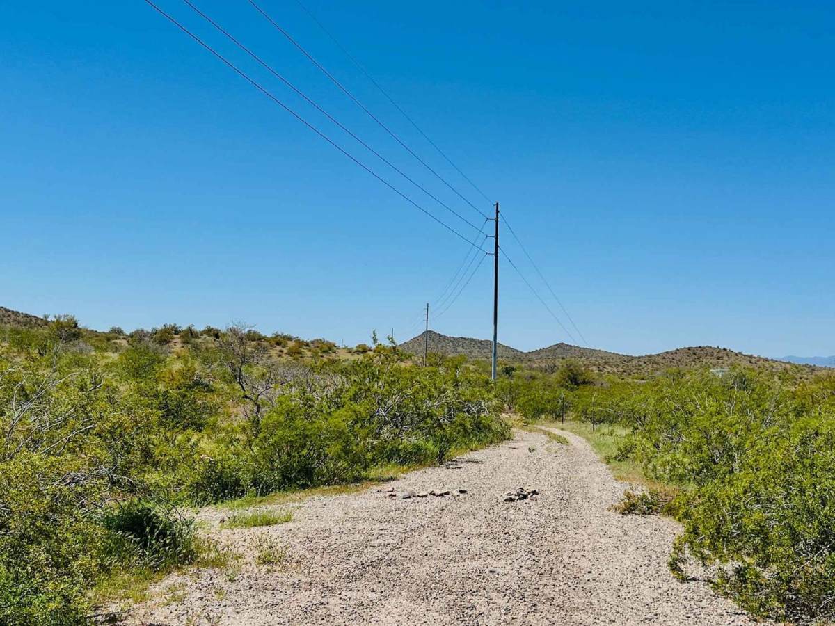 Fence Line Maintenance photo 4
