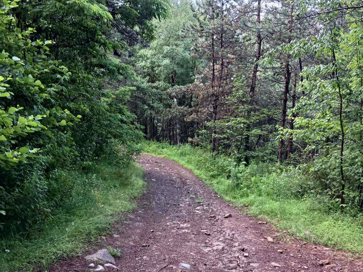 Trail 11D - Rock Run Recreation Area photo 3