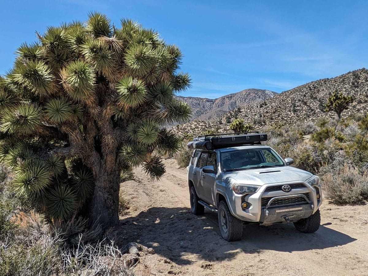Willow Creek Road to Pigeon Springs trail photo