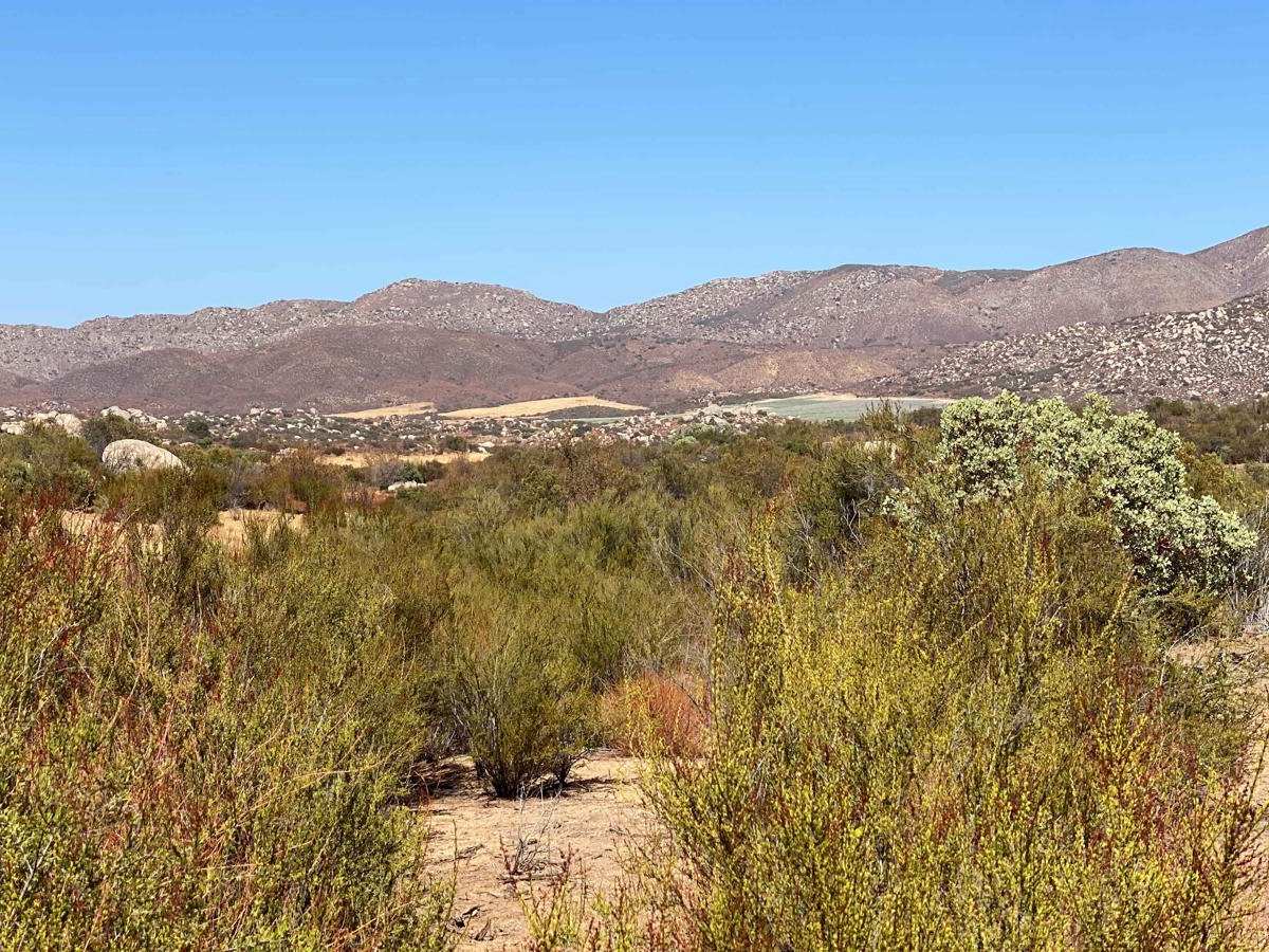 Rancho El Coyote Road photo 6